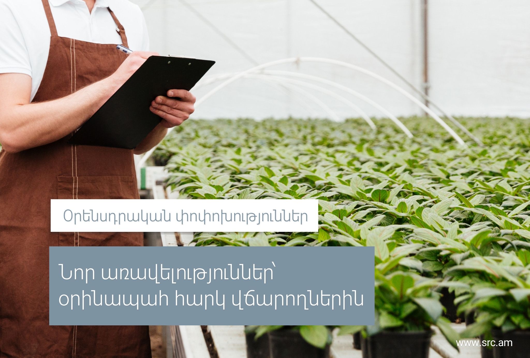 Օրինապահ հարկ վճարողների համար նախատեսվում են նոր առավելություններ